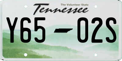 TN license plate Y6502S