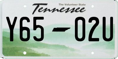 TN license plate Y6502U