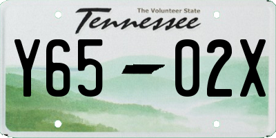 TN license plate Y6502X