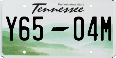 TN license plate Y6504M