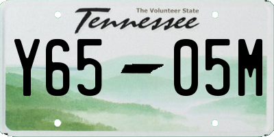 TN license plate Y6505M