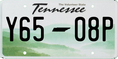TN license plate Y6508P