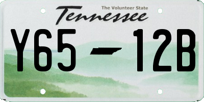 TN license plate Y6512B