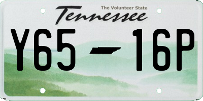TN license plate Y6516P
