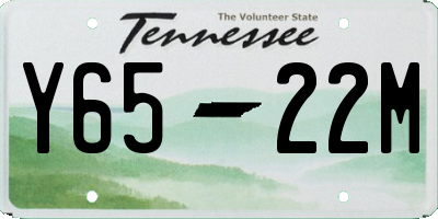 TN license plate Y6522M
