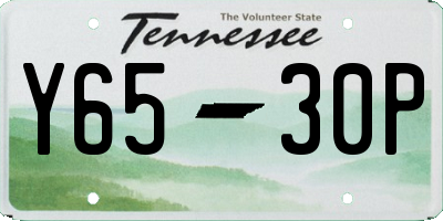 TN license plate Y6530P