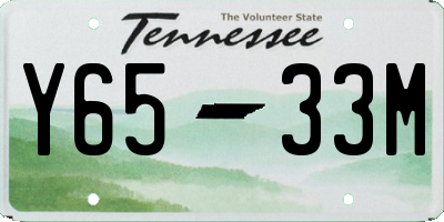 TN license plate Y6533M