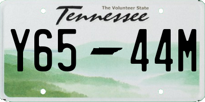 TN license plate Y6544M