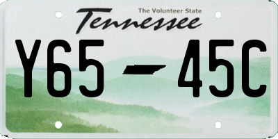 TN license plate Y6545C