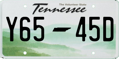 TN license plate Y6545D