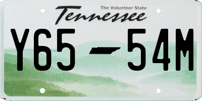 TN license plate Y6554M