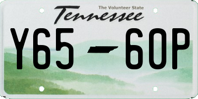 TN license plate Y6560P