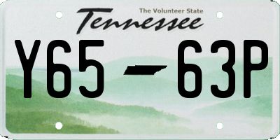TN license plate Y6563P