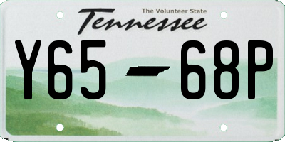 TN license plate Y6568P