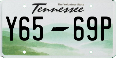 TN license plate Y6569P