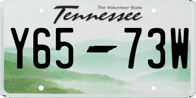 TN license plate Y6573W