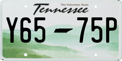 TN license plate Y6575P