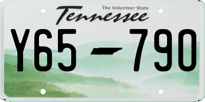 TN license plate Y6579O