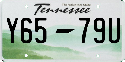 TN license plate Y6579U