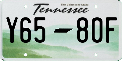 TN license plate Y6580F