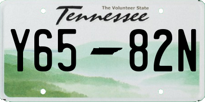 TN license plate Y6582N