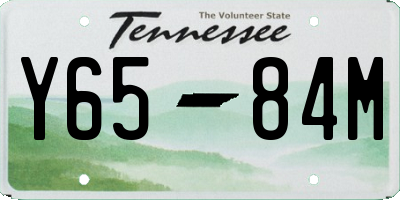 TN license plate Y6584M