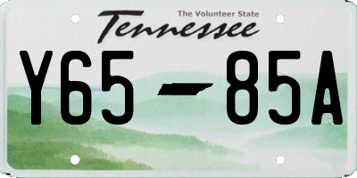 TN license plate Y6585A
