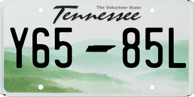 TN license plate Y6585L