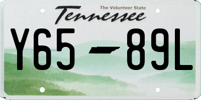 TN license plate Y6589L