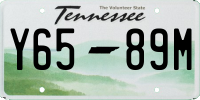 TN license plate Y6589M