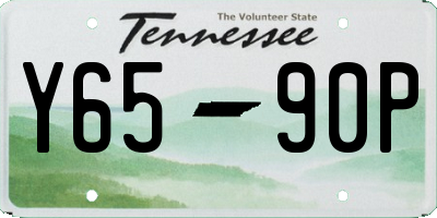 TN license plate Y6590P