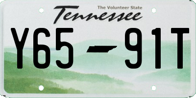 TN license plate Y6591T