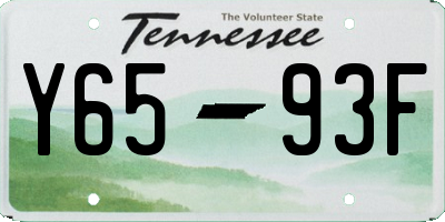 TN license plate Y6593F