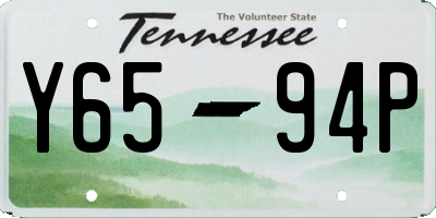 TN license plate Y6594P