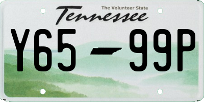 TN license plate Y6599P