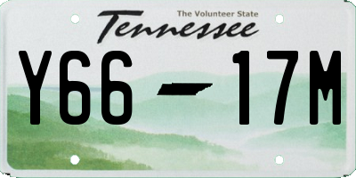 TN license plate Y6617M