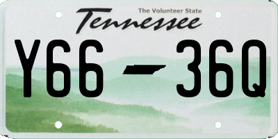 TN license plate Y6636Q