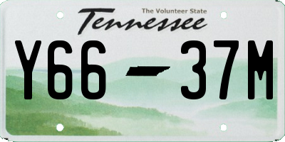 TN license plate Y6637M
