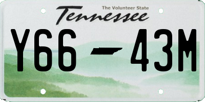 TN license plate Y6643M