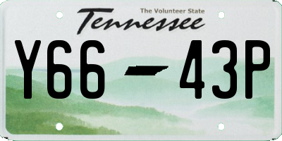 TN license plate Y6643P