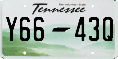 TN license plate Y6643Q