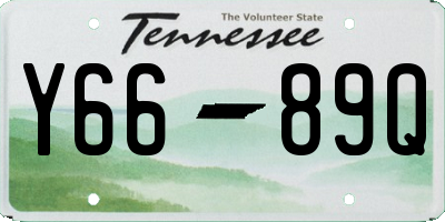 TN license plate Y6689Q