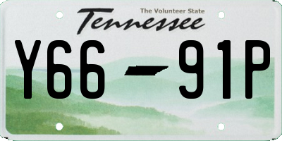 TN license plate Y6691P