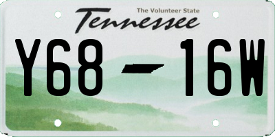 TN license plate Y6816W