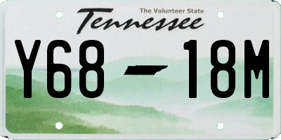 TN license plate Y6818M
