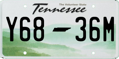 TN license plate Y6836M