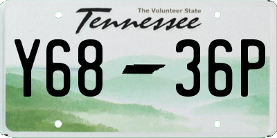 TN license plate Y6836P