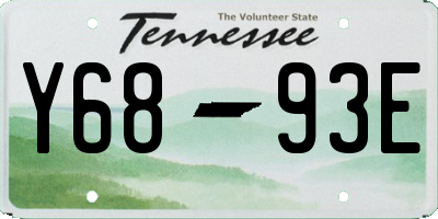 TN license plate Y6893E