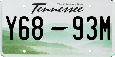 TN license plate Y6893M