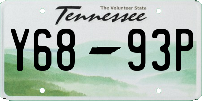 TN license plate Y6893P
